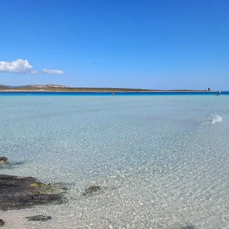 Con Piscina E Ampio Giardino
