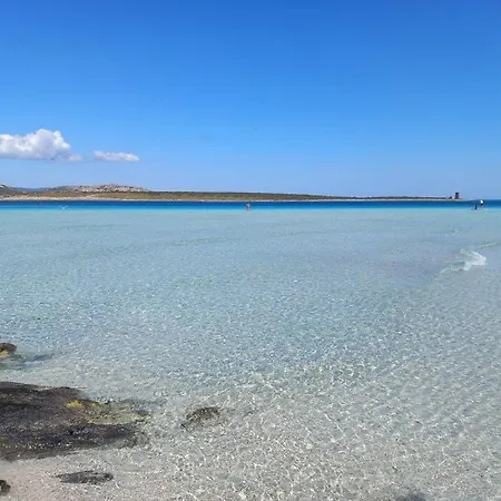 Con Piscina E Ampio Giardino