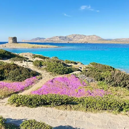 Con Piscina E Ampio Giardino Casa de Férias *
