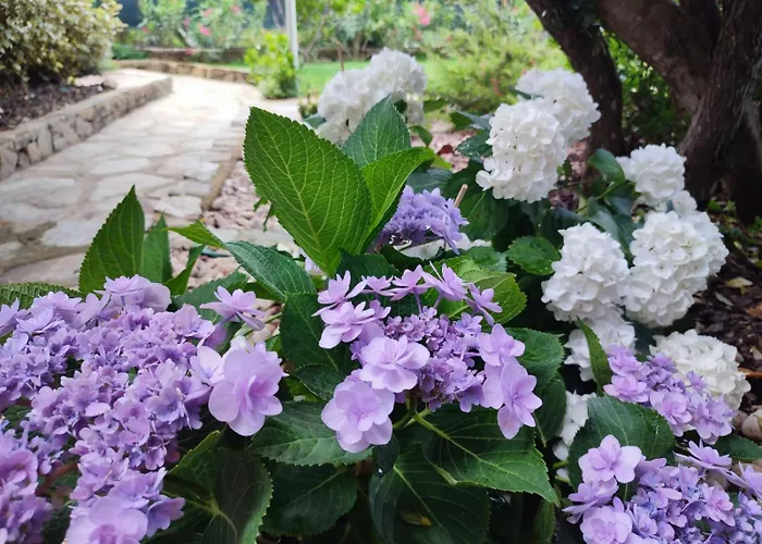 Con Piscina E Ampio Giardino * Стинтино