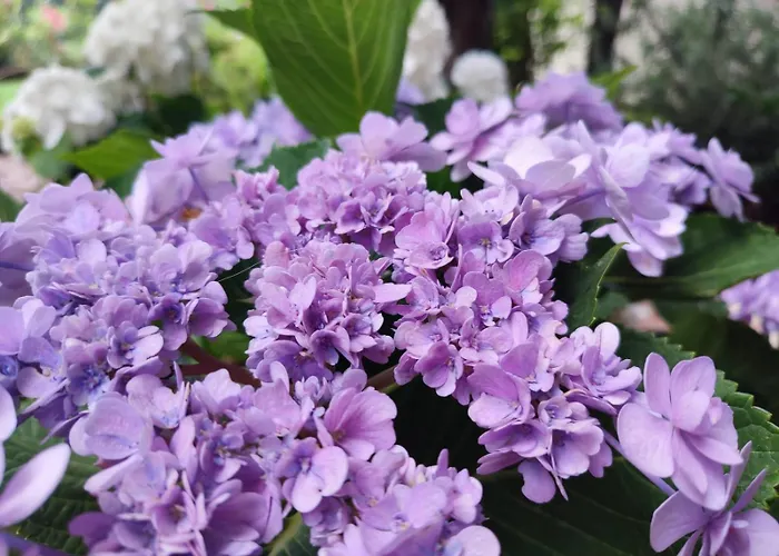 Con Piscina E Ampio Giardino * Стинтино