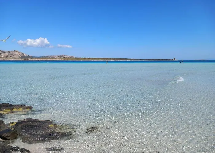 Con Piscina E Ampio Giardino